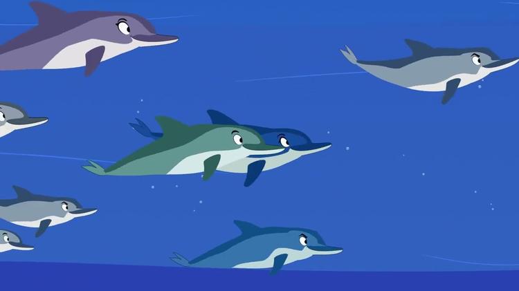 Projeto Golfinho Rotador lança animação para crianças