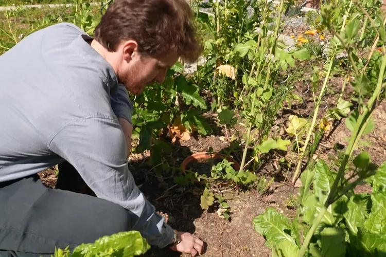 Les astuces des jardiniers pour anticiper les épisodes de sécheresse et réussir son potager