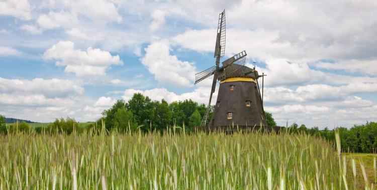  Windmühle die auf dem Gras steht