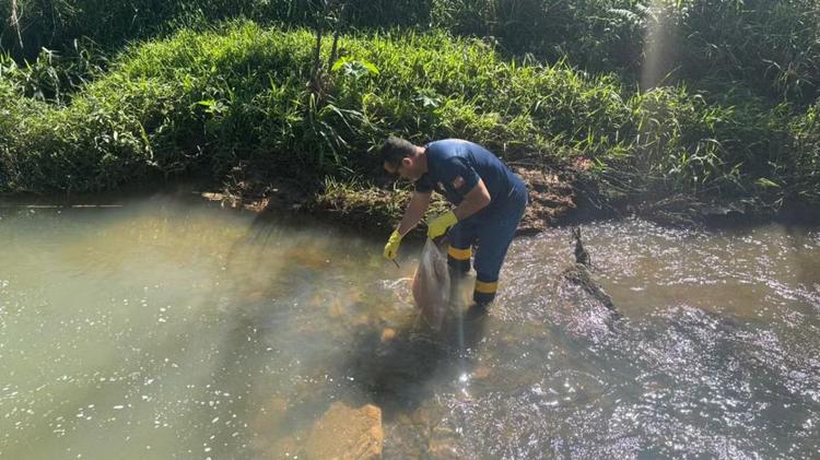 'Fato mais triste que já vi': denúncia revela descarte de mais de 18 quilos de carne em rio de SC