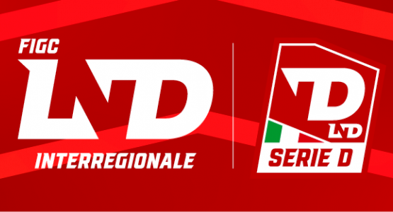 Calcio – Serie D: ammissioni al campionato 2026/2027, ripescate sei società