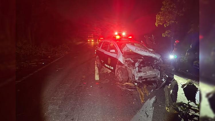 Viatura da Polícia Civil bate em árvore que caiu em rodovia durante ventania no interior de SP