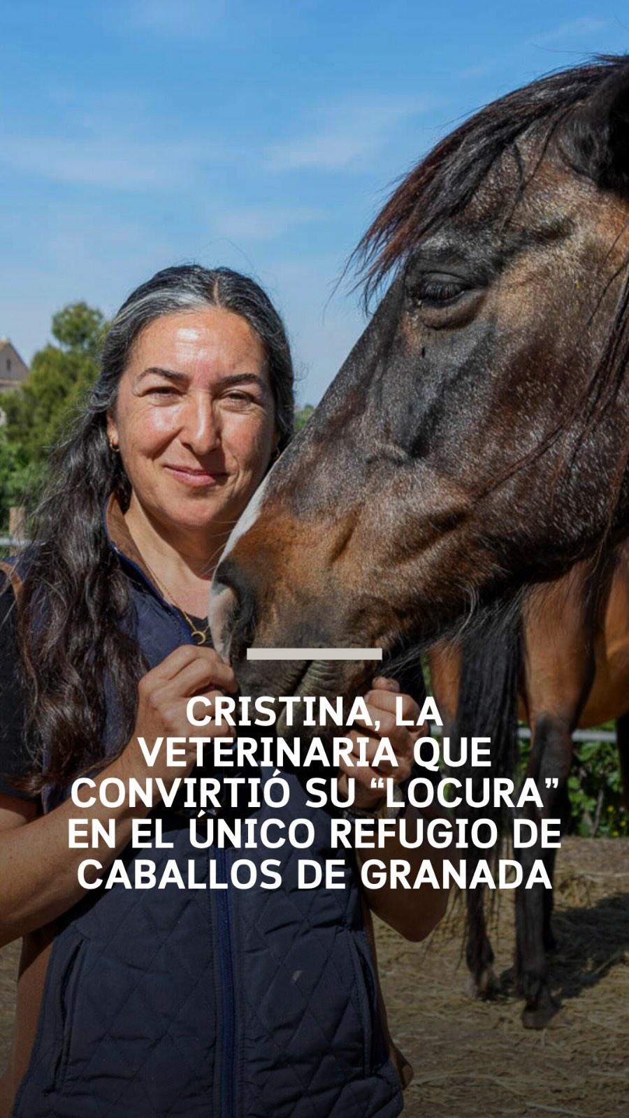 Sueños del Temple: 🐴#Historias | Cristina, la veterinaria que convirtió su “locura” en el único refugio de caballos de...