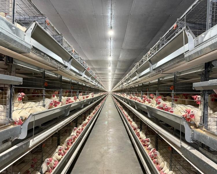 Com apoio da Investe Piauí, grupo amplia cadeia agroindustrial no Cerrado