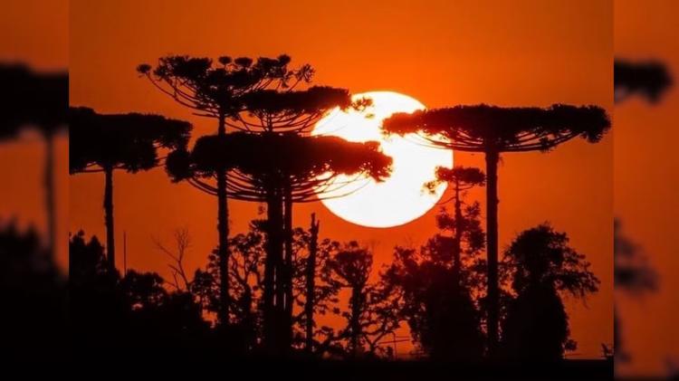 Paraná entra em nova onda de calor; entenda o que significa e veja a previsão do tempo por região
