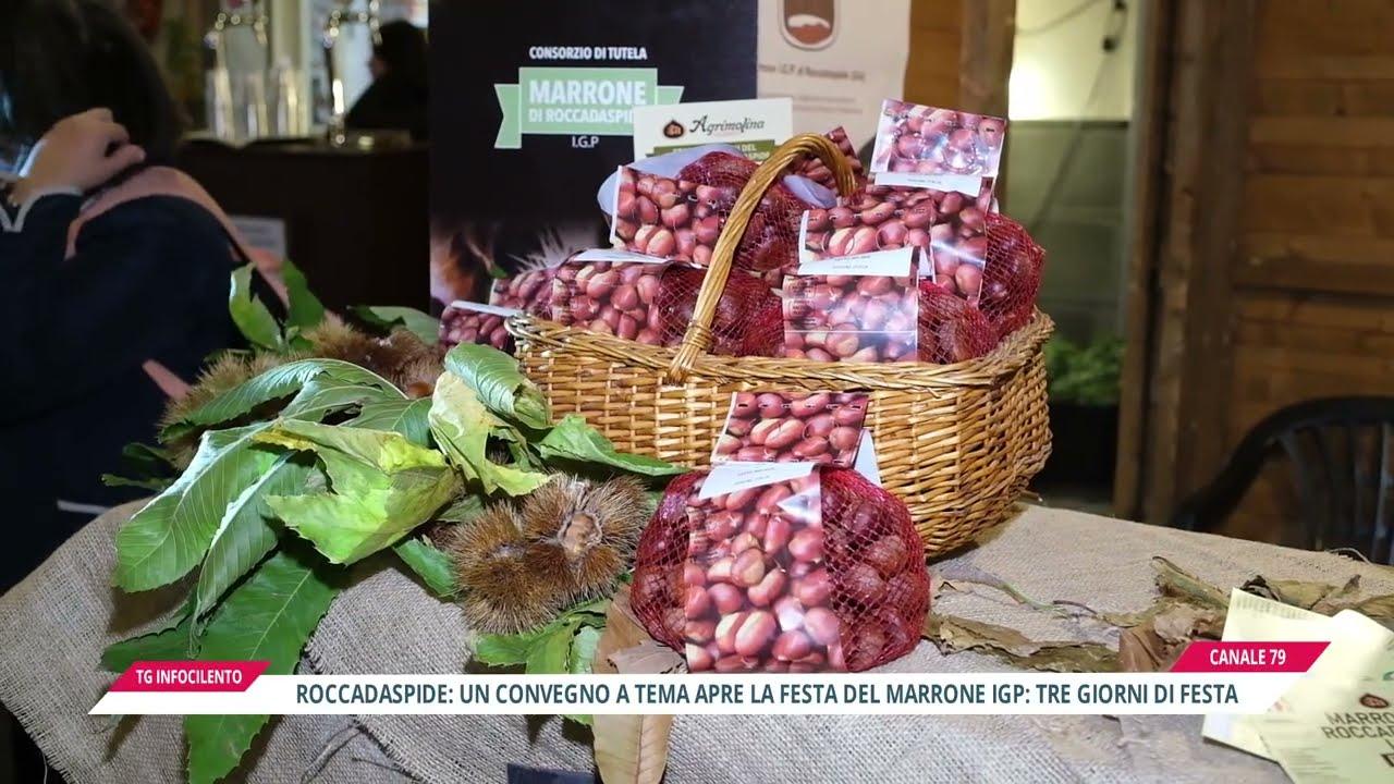 Roccadaspide: festa della Castagna e del Marrone IGP, tre giorni tra gusto, cultura e tradizioni nel Cilento