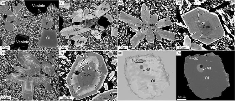 Petrographic characteristics of the sample by back scatter electron (BSE) images