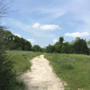 A white gravel path runs through grassy fields with wildflowers, bordered by green bushes and trees under a partly cloudy blue sky—a hidden gem running route in South Austin. Austin Marathon Half Marathon & 5K