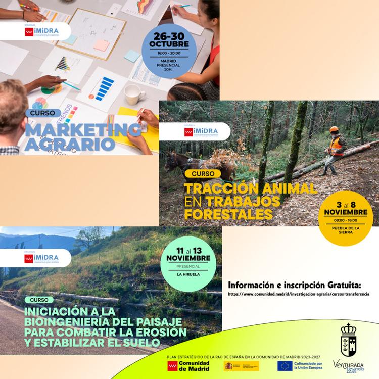 Cursos Imidra
