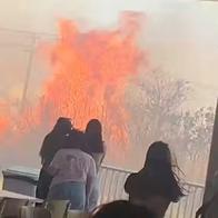 Aulas são suspensas na UnB após incêndio atingir vegetação nos arredores da universidade e do IFB