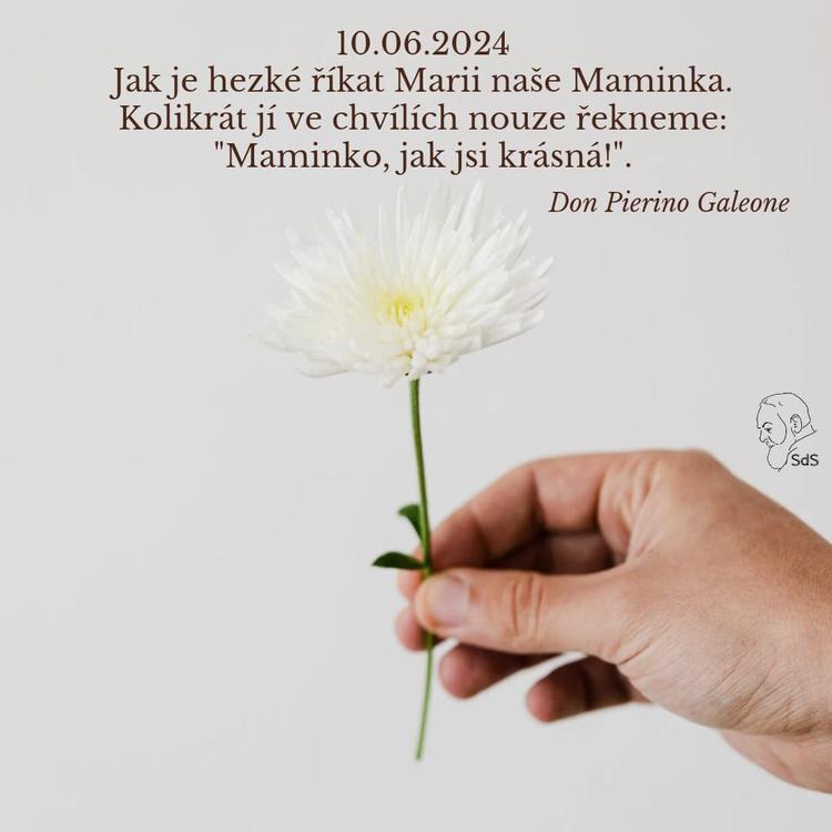10.6.2024
Jak je hezké říkat Marii naše Maminka. Kolikrát jí ve chvílích nouze řekneme: "Maminko, jak jsi krásná!".

Don Pierino Galeone