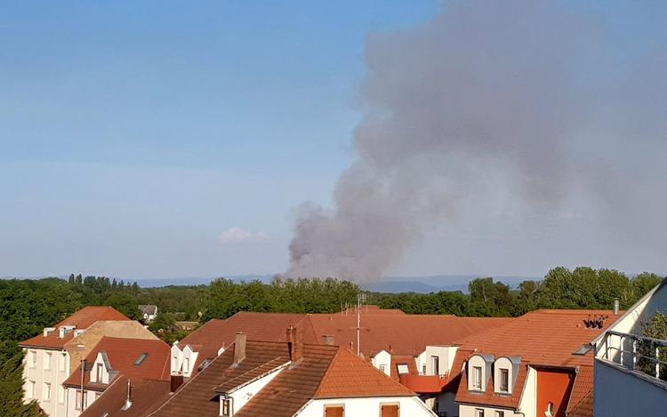 Alsace : 70 sapeurs-pompiers luttent contre un feu de forêt