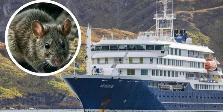 ¡Alerta en crucero del Atlántico! Ya van 8 casos de hantavirus a bordo y evacúan pasajeros enfermos