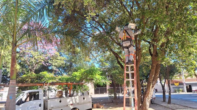 Montes Claros investe em iluminação e beneficia skatistas