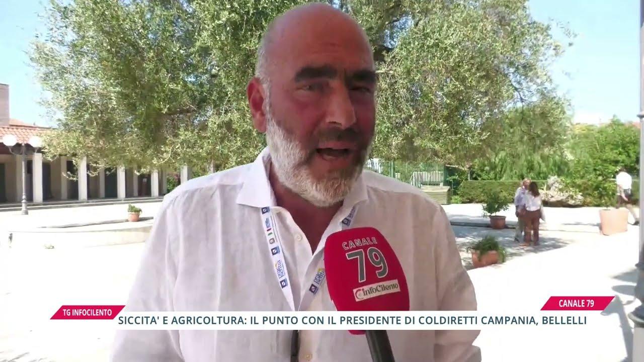 Emergenza siccità in Campania, comuni chiedono aiuto: il punto con Ettore Bellelli, presidente Coldiretti