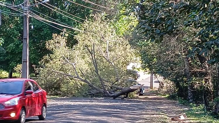Ventos passam de 70 km/h e causam estragos no Paraná; estado continua sob alerta de vendavais de até 100 km/h