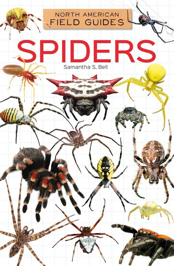 Book cover with 15 different spiders.