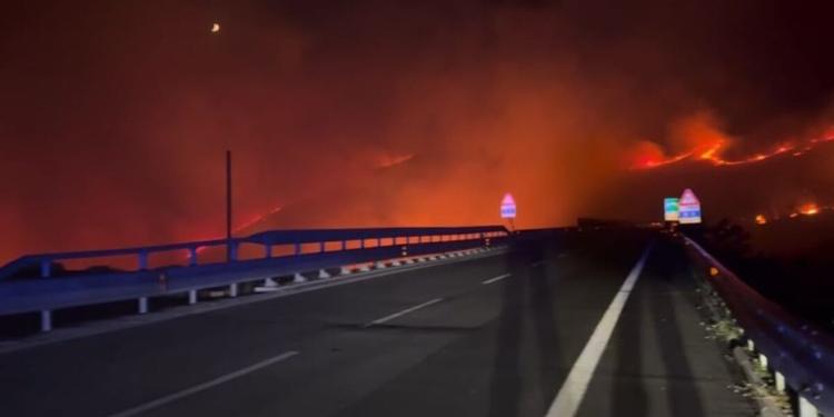 Castrovillari, le fiamme distruggono ettari di Monte Monzone, Cozzo del Pellegrino, passo del Vascello e Serra Dolcedorme