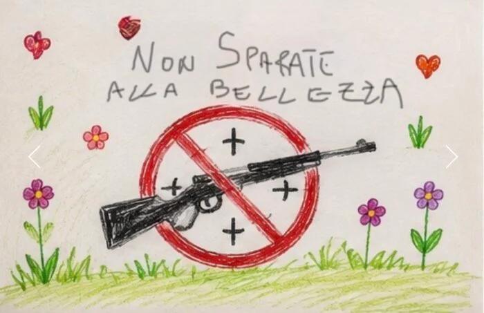 I bambini del Cilento disegnano il futuro della biodiversità: i messaggi delle scuole consegnati a Giorgia Meloni