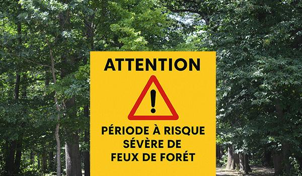Alerte : risque sévère de feux de forêt&nbsp;!