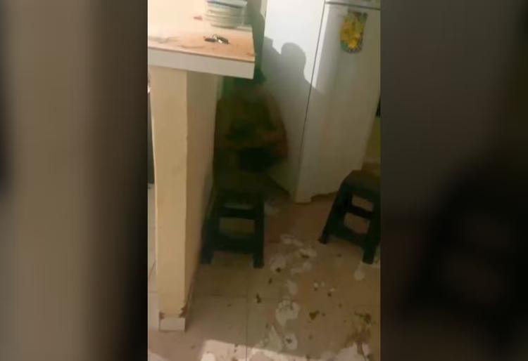 VÍDEO: Moradora relata pânico após homem invadir casa pelo forro para fugir de suposta ameaça