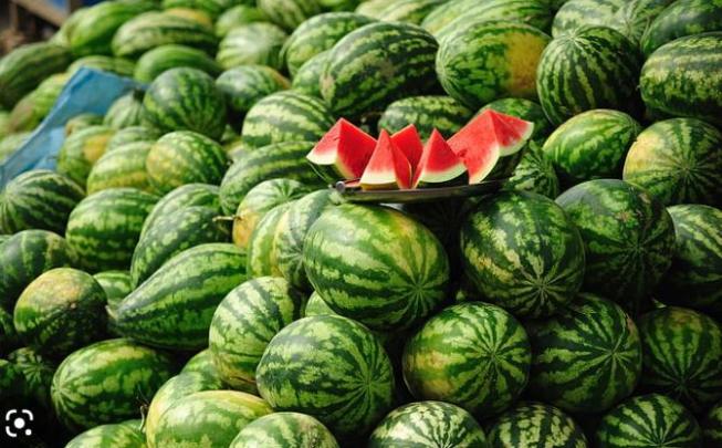 وفرة الإنتاج تخفض أسعار “الدلاح” إلى مستويات غير مسبوقة بالمغرب