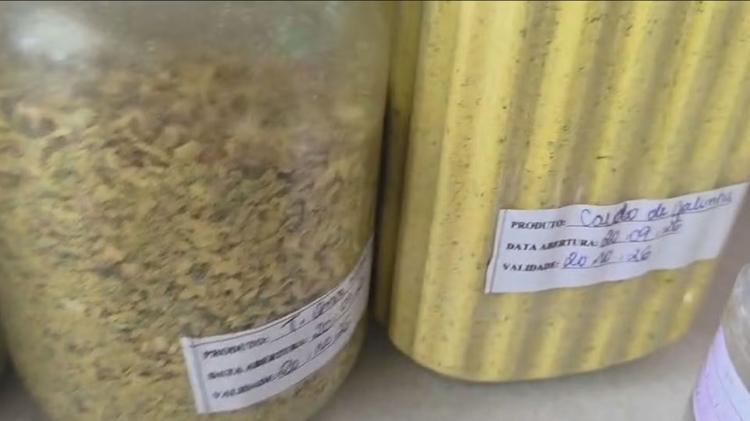Dona de lar de idosos é presa após polícia encontrar medicamentos e alimentos vencidos no Rio