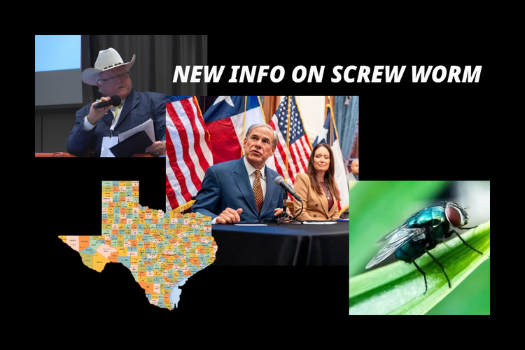 Commissioner Sid Miller Responds to New Screwworm Detections, Demands