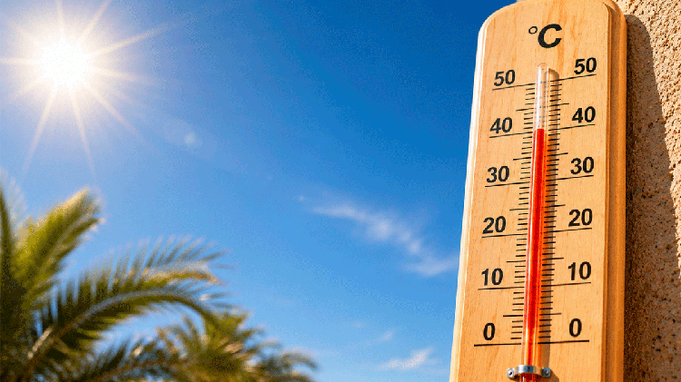 #Comarca: Alerta amarilla por calor con máximas de hasta 40 grados
