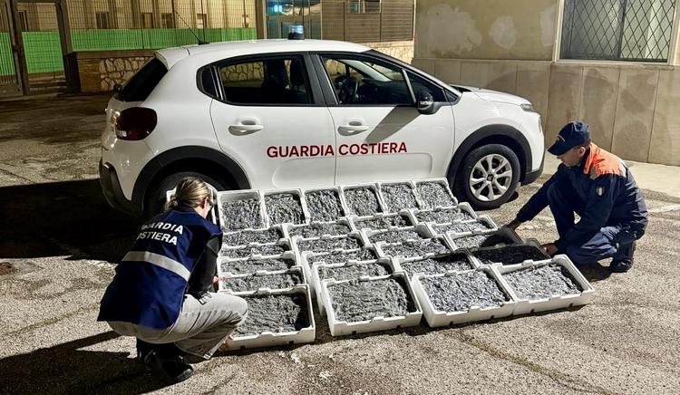 Manfredonia, sequestrati 200 kg di bianchetto