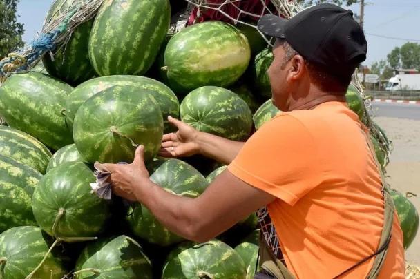 المغرب يستحوذ على نحو نصف واردات إسبانيا من البطيخ الأحمر