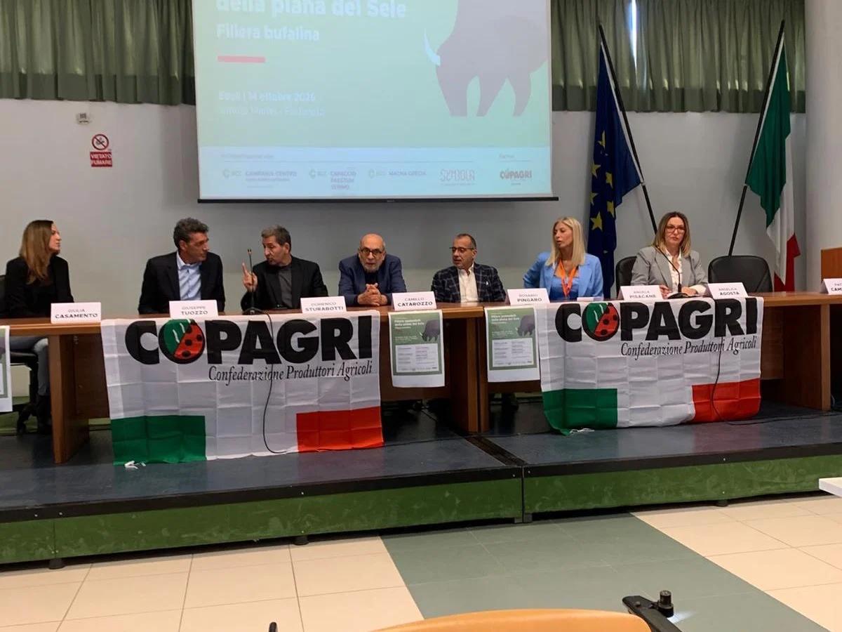 Filiera bufalina: 30 milioni per l’innovazione nella Piana del Sele