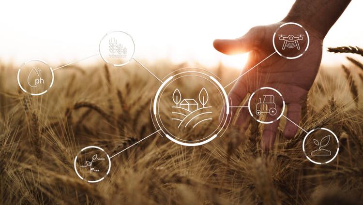 On-Farm Experimentation Turns Fields Into Labs