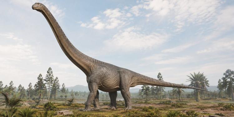 In Thailandia scoperto un dinosauro lungo 20 metri, col collo alto come un palazzo di tre piani