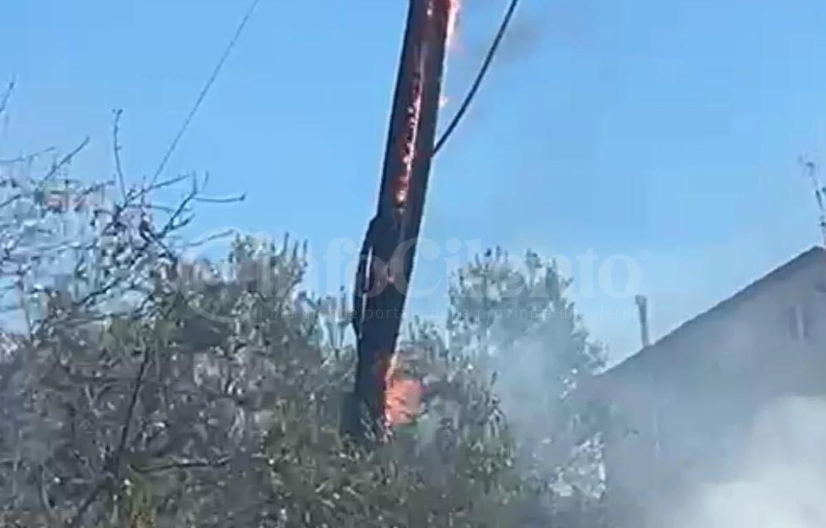 Incendio a Roccadaspide: fiamme e paura in località Acquaviva
