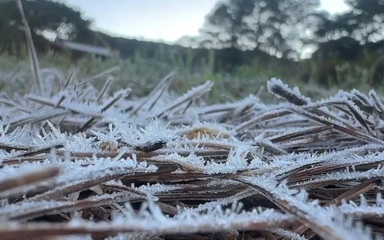 Geada cobre cidades do Sul de Minas e deixa paisagens brancas na manhã desta terça-feira