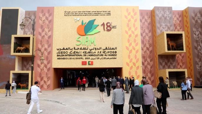 إقبال واسع على أروقة الملتقى الدولي للفلاحة بمكناس