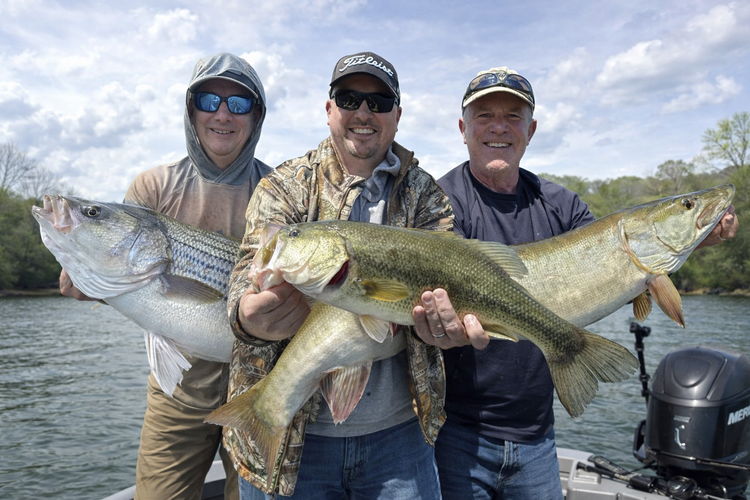 The Livingston Lures Viper 6: A Springtime Multi-Species Lure for Trophy Bass, Musky, and Pike