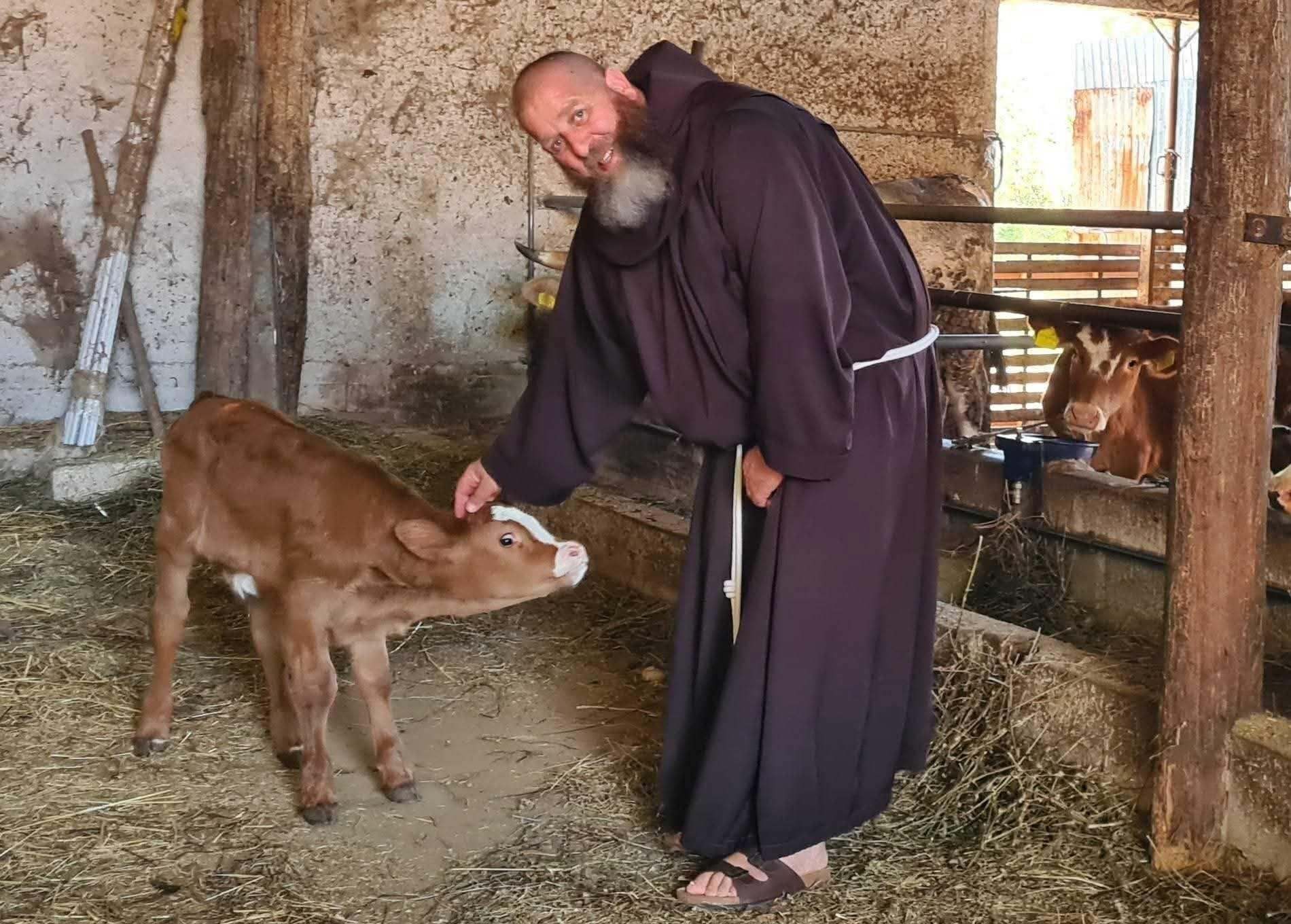 A Padula torna la benedizione delle campagne: la tradizione di San Francesco