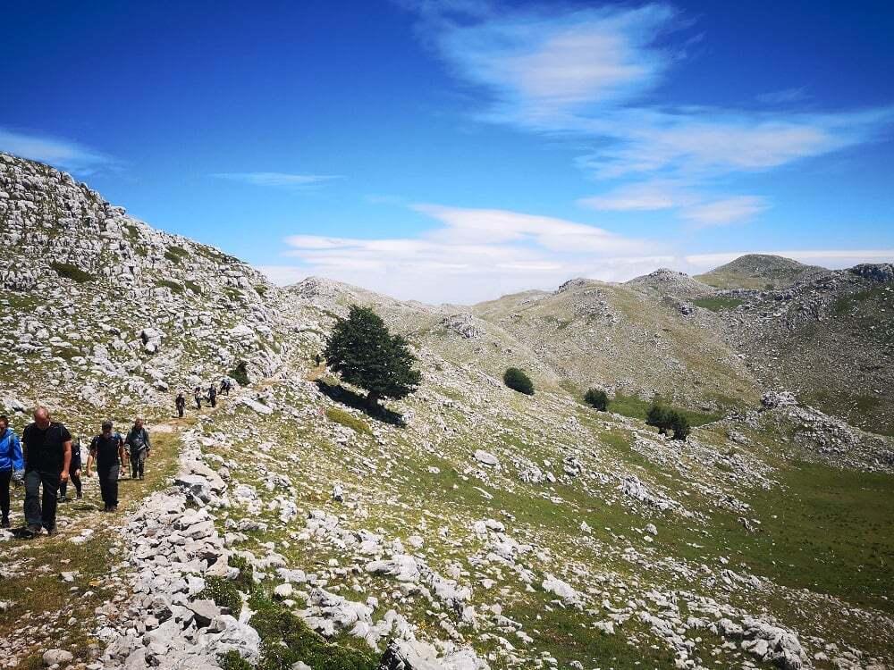 Pascolo abusivo sul Monte Cervati: Legambiente presenta un esposto alla Procura