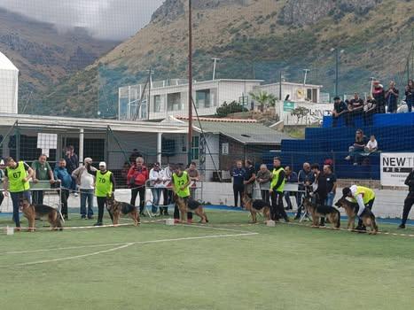 🐕 Vi aspettiamo al Gazzara Club! È in corso il Raduno Nazionale del Pastore Tedesco, con una splendida esposizione cino...
