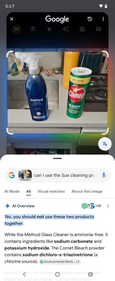 screenshot of circle to search on android with household cleaners