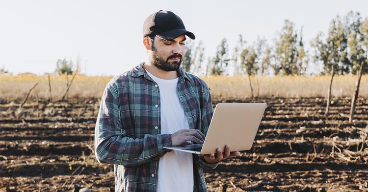 Gêmeos digitais no agro simulam cenários de clima, doenças e fertilizantes antes da execução no campo