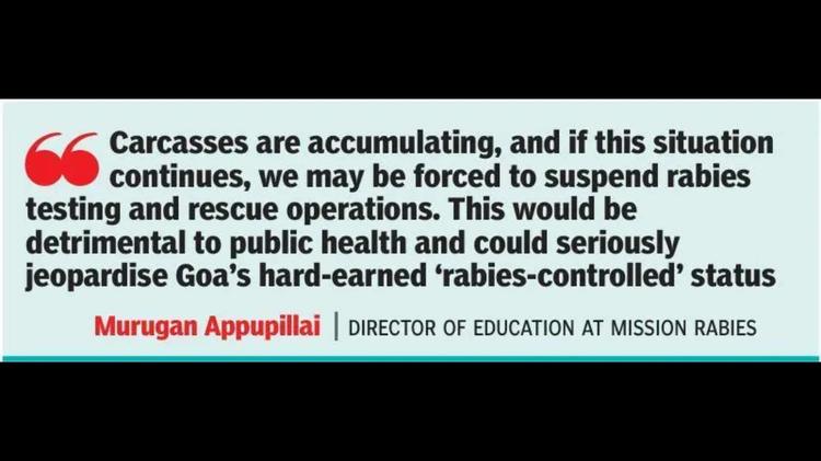 Carcass disposal crisis puts Goa’s ‘rabies-controlled’ status in jeopardy