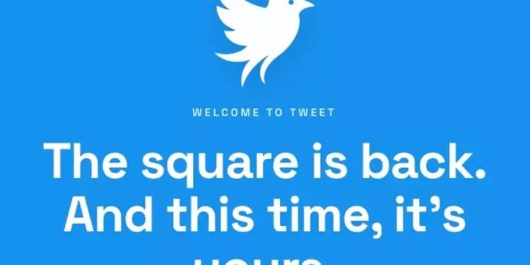 Twitter è pronta a tornare, una startup lancia social con uccellino blu come logo