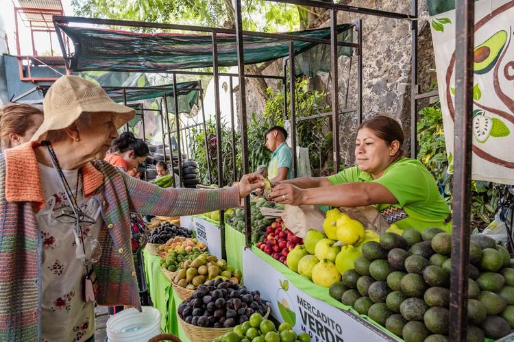 ¡Festejo en Chapultepec! El Mercadito Verde celebra 13 años con mariposas y música gratis