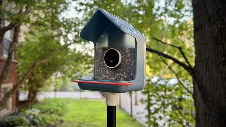 the birdbuddy home
