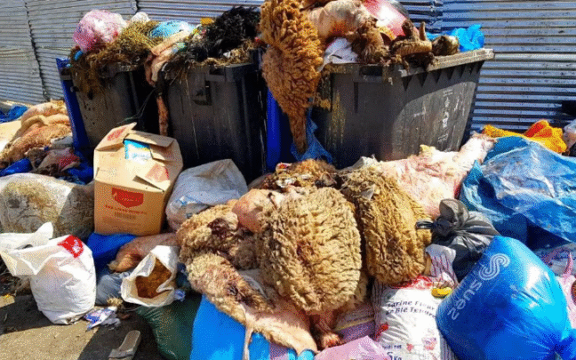 مطالب بتجنب تلويث احياء وشوارع مراكش بنفايات الأضاحي