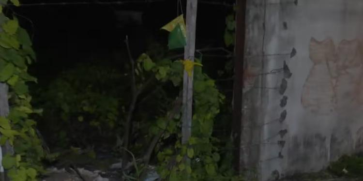 Corpo é encontrado em estado de decomposição em terreno, em João Pessoa