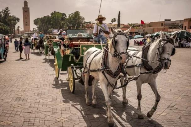 المغرب في الصدارة عربيا من حيث مداخيل السياحة
